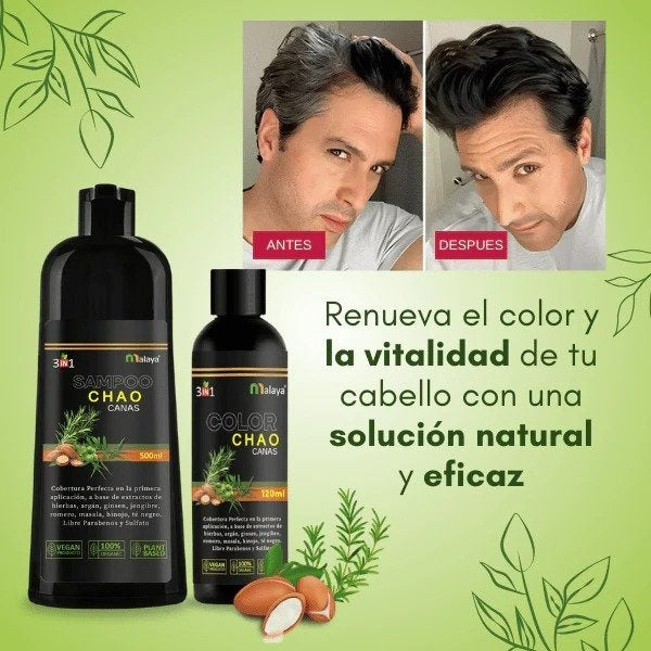 SHAMPOO CHAO CANAS TRATAMIENTO