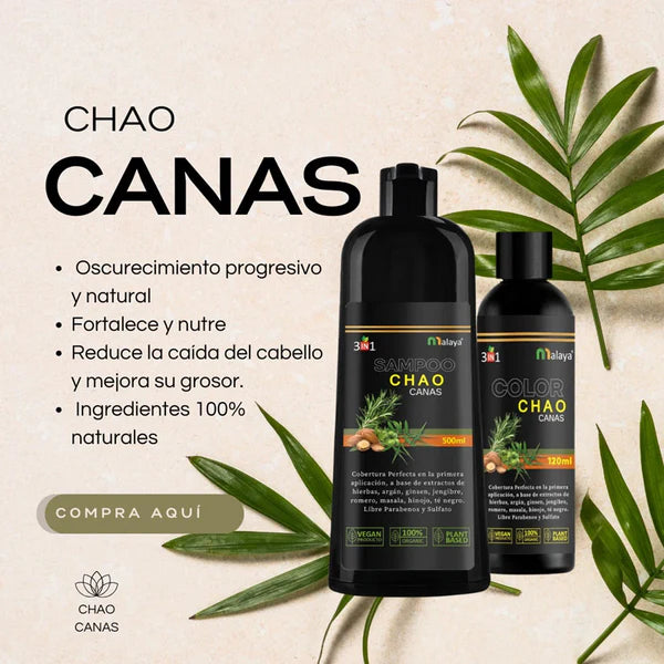 SHAMPOO CHAO  CANAS   TRATAMIENTO